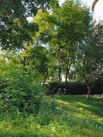 Fotos Grünflächen in der Altstadt