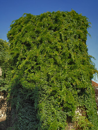 Fotos Helenenturm | Köln