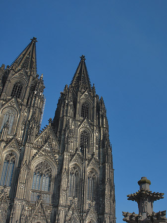 Kreuzblume vor Kölner Dom Foto 