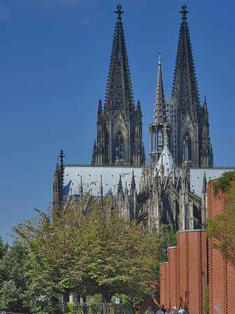 Steinmauer zum Kölner Dom Foto 