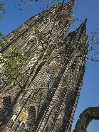 Foto Nordtor des Kölner Doms - Köln