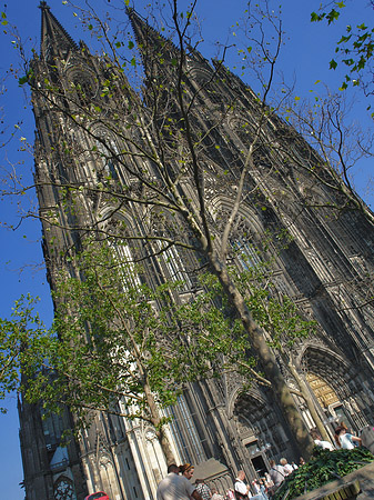 Foto Nordtor des Kölner Doms - Köln