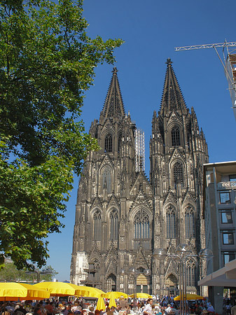 Foto gelbe Sonnenschirme vor Kölner Dom - Köln