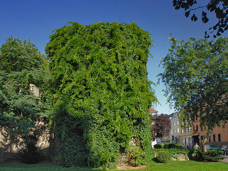 Helenenturm Foto 