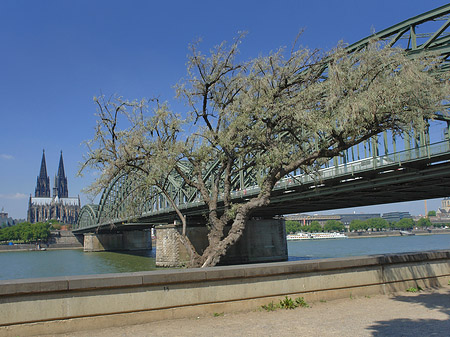 Foto Hohenzollernbrücke am Kölner Dom
