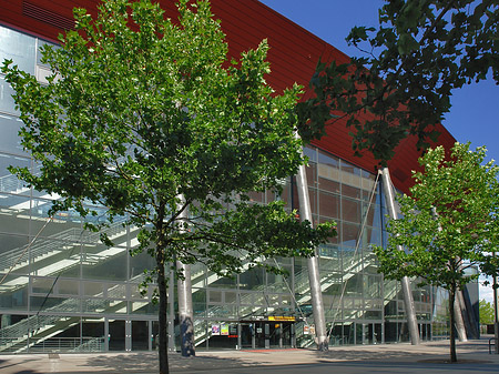 Kölnarena hinter Bäumen Fotos