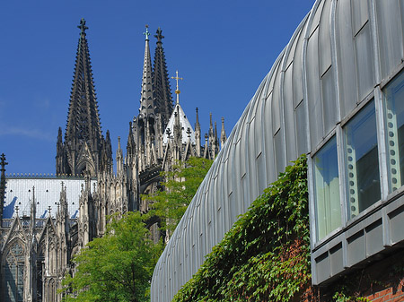 Hauptbahnhof vor dem Kölner Dom Foto 