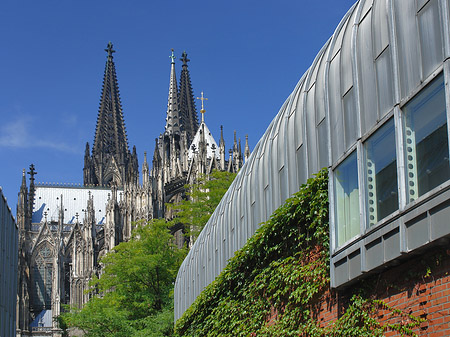 Foto Hauptbahnhof vor dem Kölner Dom