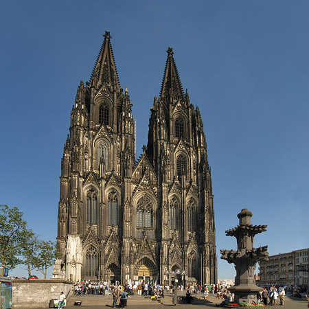 Kreuzblume vor Kölner Dom