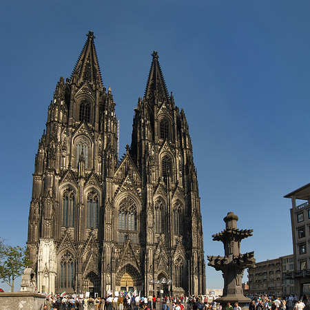 Fotos Kreuzblume vor Kölner Dom
