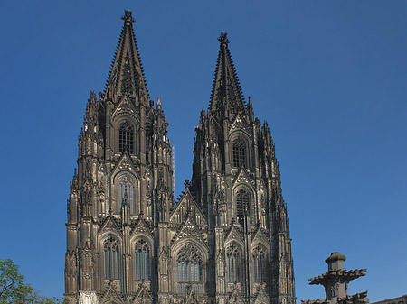 Kreuzblume vor Kölner Dom Foto 