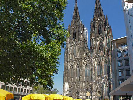gelbe Sonnenschirme vor Kölner Dom Fotos