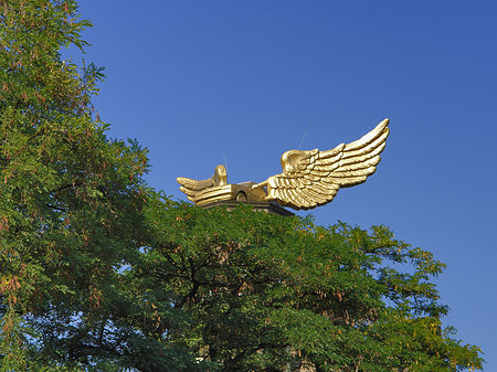 Fotos Flügelauto des Kölnischen Stadtmuseums | Köln
