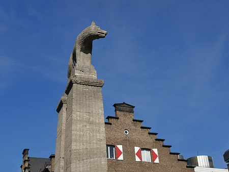 Fotos Wolfsstatue und Stadtmuseum
