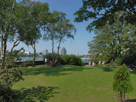 Foto Rheinpark - Köln