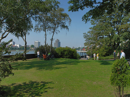 Rheinpark Fotos