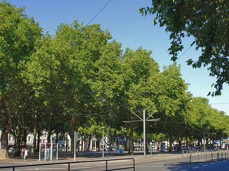 St-Apern-Straße Foto 