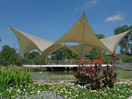 Fotos Tanzbrunnen ist rundum bepflanzt | Köln