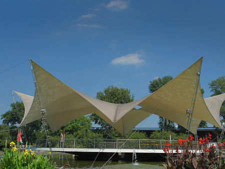 Fotos Tanzbrunnen ist rundum bepflanzt | Köln