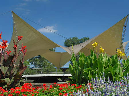 Tanzbrunnen ist rundum bepflanzt
