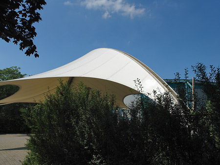 Tanzbrunnen im Rheinpark Foto 