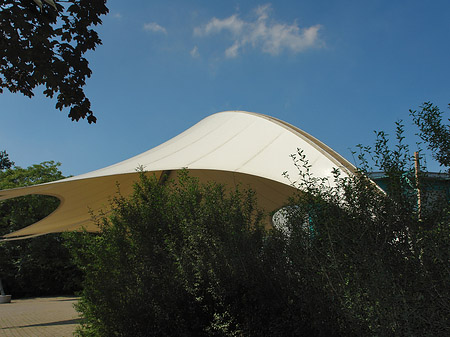 Tanzbrunnen im Rheinpark