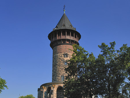 Fotos Baum an der Ulrepforte | Köln