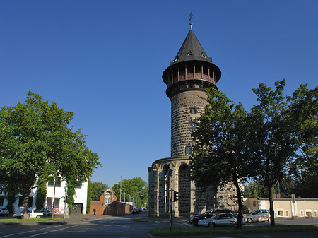 Baum an der Ulrepforte Foto 