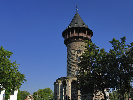 Fotos Baum an der Ulrepforte
